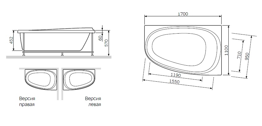 Каркас для ванни лівосторонній 170х110 см AM.PM Like W80A-170L110W-R W80A-170L110W-R фото