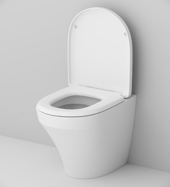 Унитаз приставнойAM.PMInspireC501438WH C501438WH фото