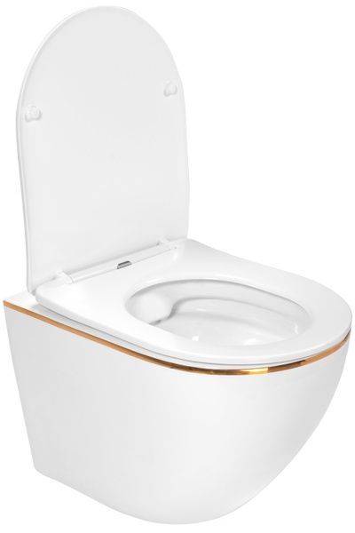Подвесной унитаз REA CARLO WHITE MINI FLAT GOLD EDGE белый REA-C1222 фото