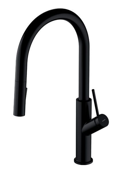 Змішувач для кухні Omnires Bend matt black (BE6455BL) BE6455BL фото