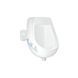 Пісуар підвісний дитячий Qtap Baby 420х300х465 White з малюнком QT2388U460EWD SD00045960 фото 1