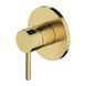 Смеситель для душа скрытого монтажа Omnires Y brushed brass (Y1245BSB) Y1245BSB фото 1