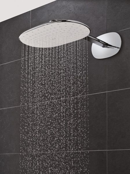 Rainshower 360 Mono верхний душ с душевым кронштейном 450 мм , 1 режим струи (26450LS0) 26450LS0 фото