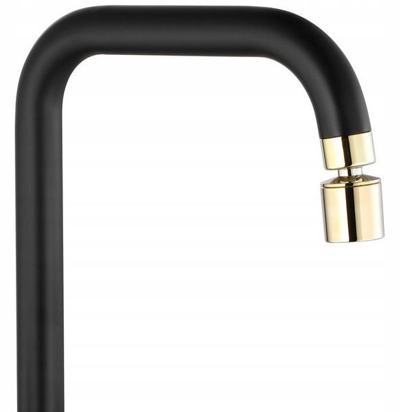 Змішувач для кухні REA POLO BLACK AND GOLD чорний/золото REA-B9980 фото